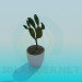 3d model Cactus - vista previa