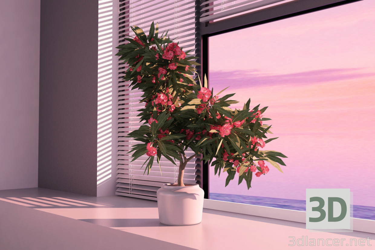 3d Oleander blooming model buy - render