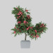 3d Oleander blooming model buy - render