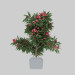 3d Oleander blooming model buy - render