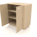 3D Modell Schrank TM 031 (offen) (660x400x650, Holz weiß) - Vorschau