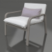 3d model Armchair (Quartz gray) - preview