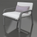 3d model Armchair (Anthracite) - preview