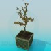 modèle 3D La plante dans un pot - preview