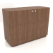 3d model Cabinet TM 031 (1060x450x750, wood brown light) - preview