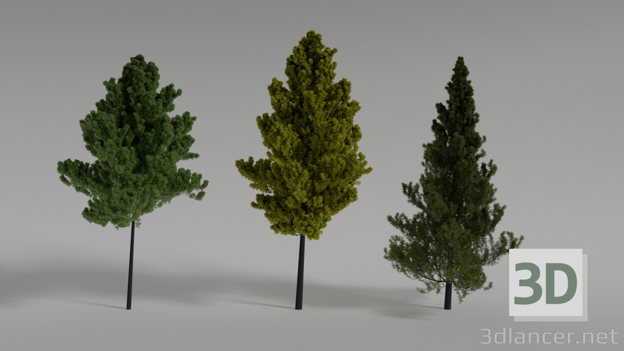 modèle 3D arbre - preview