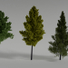 modèle 3D arbre - preview