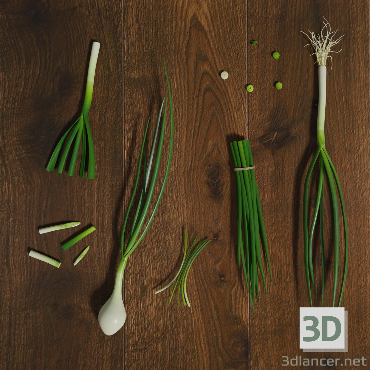 3d Chives model buy - render