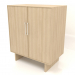 modèle 3D Armoire W 02 (1000x600x1200, bois blanc) - preview