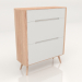 3d model Shoe cabinet Ena - preview