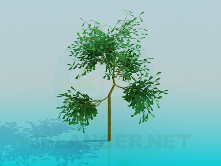 3d model Small tree - preview