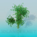 3d model Small tree - preview