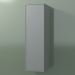 3d model Armario de pared con 1 puerta (8BUBDDD01, 8BUBDDS01, Silver Grey C35, L 36, P 36, H 120 cm) - vista previa