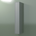 3d model Armario de pared con 1 puerta (8BUAECD01, 8BUAECS01, Silver Grey C35, L 24, P 24, H 144 cm) - vista previa