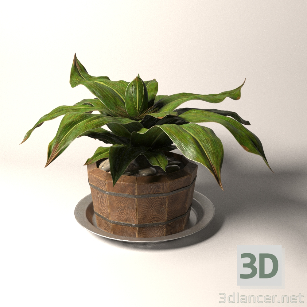 modèle 3D de Planter dans un pot en bois acheter - rendu