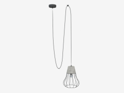 Pendant light (S111020 1A)