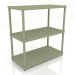 3d model Bookcase Stilt SIR2 (800x400x867) - preview