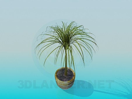 modello 3D Pot di fiore - anteprima