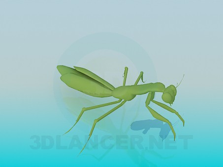 Modelo 3d Praying Mantis - preview