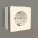 3d model Earth socket (ivory) - preview