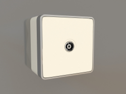 TV socket (ivory)