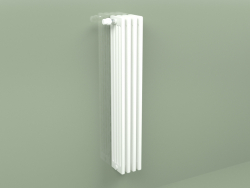 Radiator Delta Laserline (DL5, H 1200 mm, RAL - 9016)