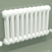 modèle 3D Radiateur TESI 2 (H 300 10EL, Standard blanc) - preview