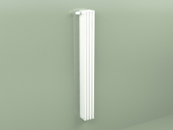 Radiator Delta Laserline (DL5, H 1800 mm, RAL - 9016)