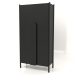 modèle 3D Armoire à longues poignées W 01 (1000x450x2000, bois noir) - preview