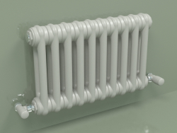 Radiator TESI 2 (H 300 10EL, Manhattan gray)