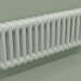 modèle 3D Radiateur TESI 2 (H 300 15EL, gris Manhattan) - preview