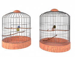 Deux cages à oiseaux