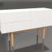 modello 3D Credenza ad un'anta con due cassetti Alta su Legno - anteprima