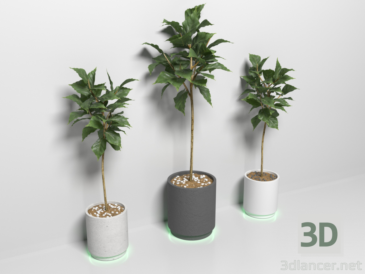 Modelo 3d Flor - preview