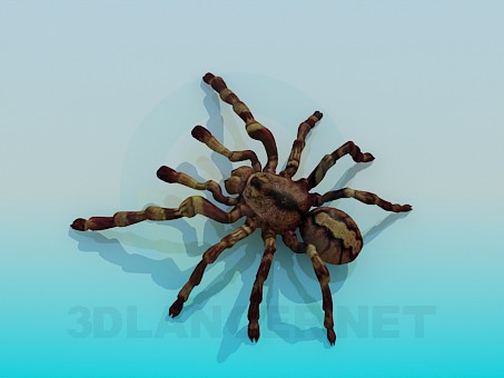 Modelo 3d Aranha - preview