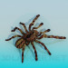 Modelo 3d Aranha - preview