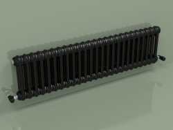 Radiateur TESI 2 (H 300 25EL, Noir - RAL 9005)