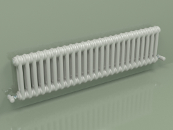 Radiateur TESI 2 (H 300 25EL, gris Manhattan)