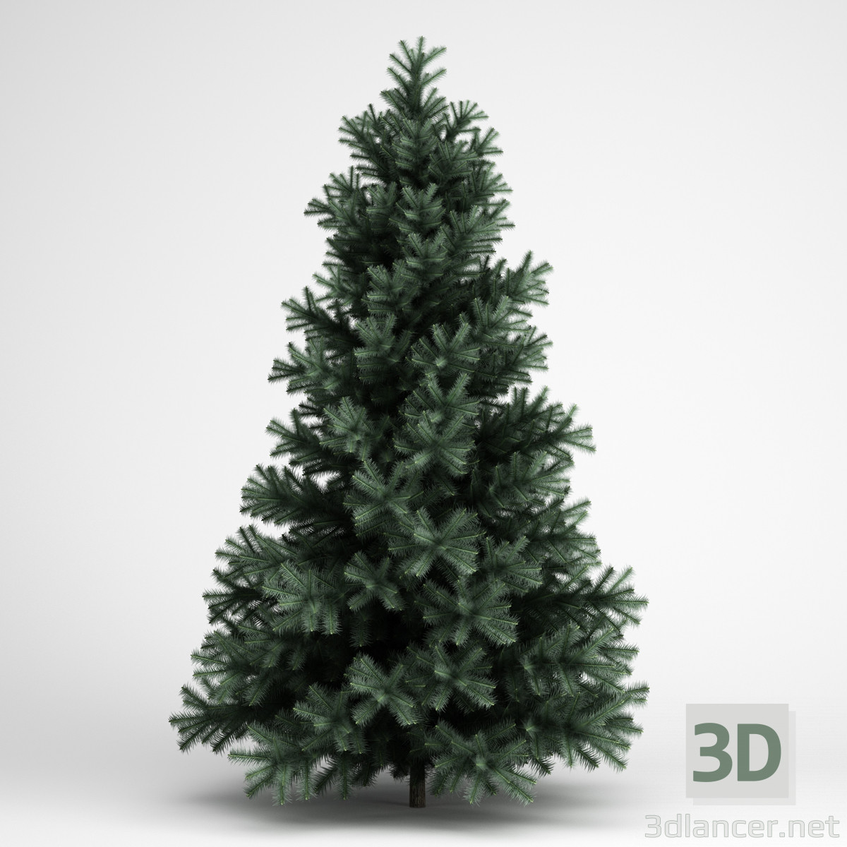 3d model Spruce - preview