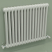 modèle 3D Radiateur TESI 2 (H 600 15EL, gris Manhattan) - preview