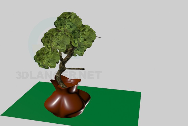 3d model Bonsai - vista previa