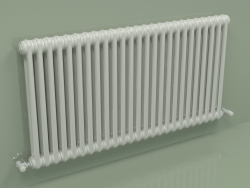 Radiateur TESI 2 (H 600 25EL, gris Manhattan)