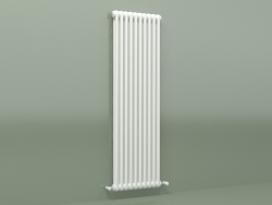 Radiator TESI 2 (H 1500 10EL, Standard white)