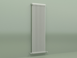 Radiator TESI 2 (H 1500 10EL, Manhattan gray)