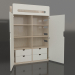 3D Modell Kleiderschrank offen MOVE WF (WWMWF2) - Vorschau