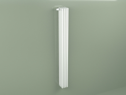 Radiator Delta Laserline (DL6, H 2200 mm, RAL - 9016)