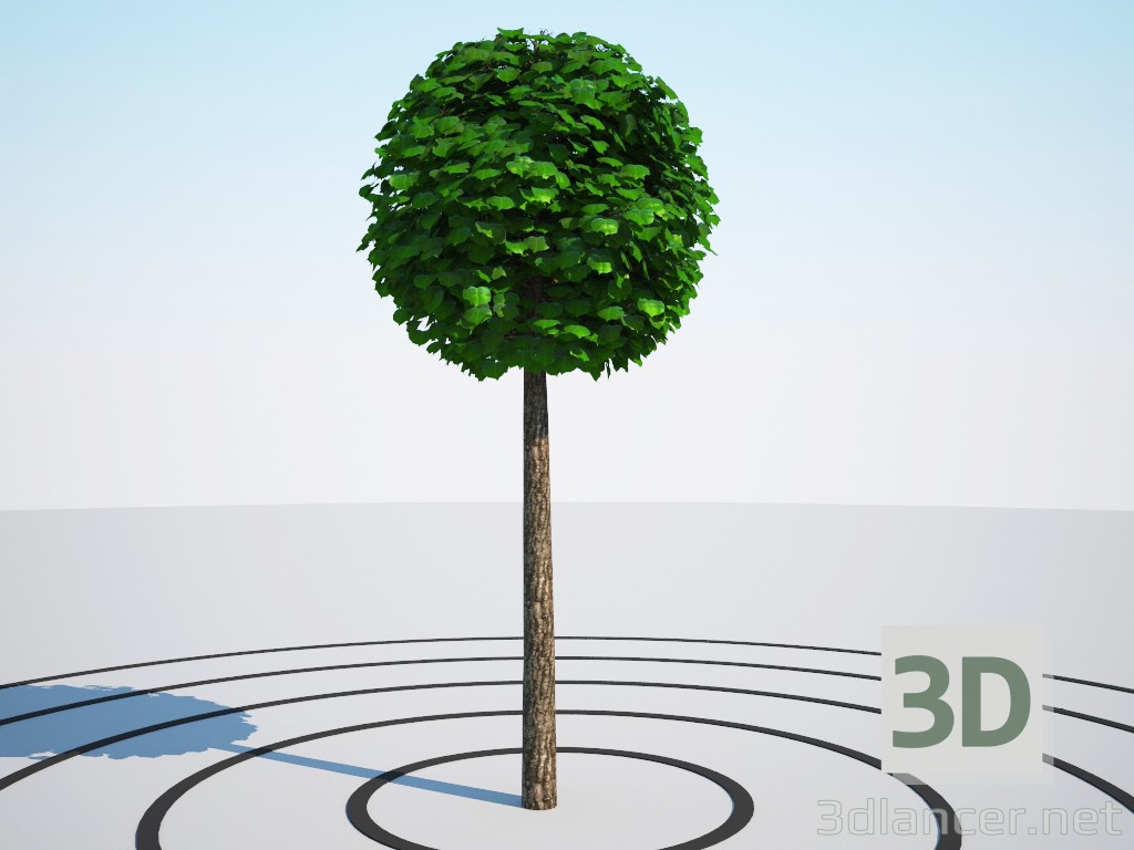 3d Tilia platyphyllos, ball on the trunk model buy - render