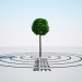 3d Tilia platyphyllos, ball on the trunk model buy - render