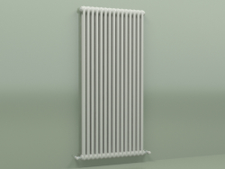 Radiateur TESI 2 (H 1500 15EL, gris Manhattan)