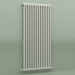 modèle 3D Radiateur TESI 2 (H 1500 15EL, gris Manhattan) - preview